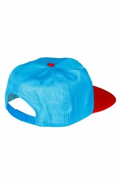 The Snap Is Back | Shinesty Retro USA Hat -US Clothing Sales Store IMG 9811 Edit e28af81f 1c46 45c8 8f54 d11537951191